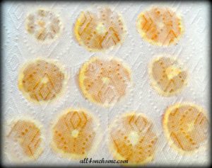 dried-oranges-3
