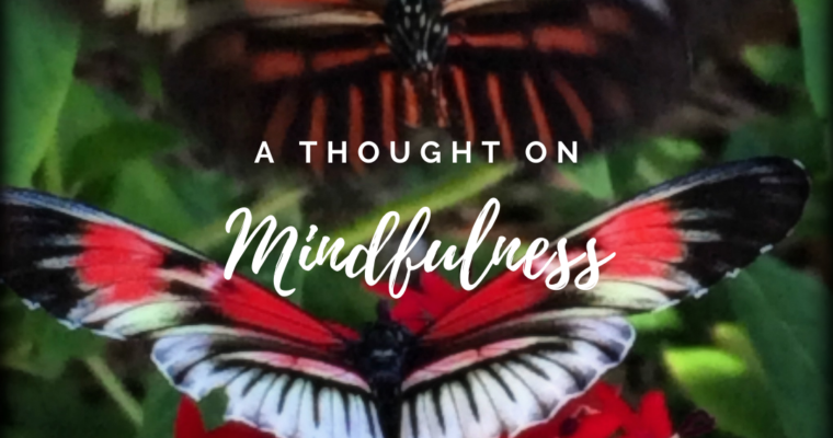 A Thought On Mindfulness