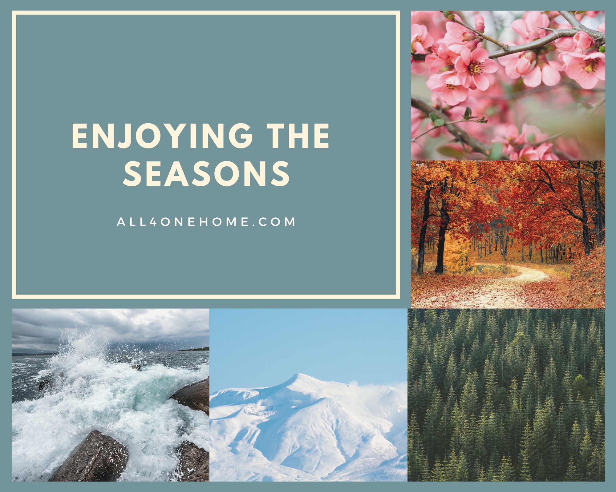 Enjoying The Seasons