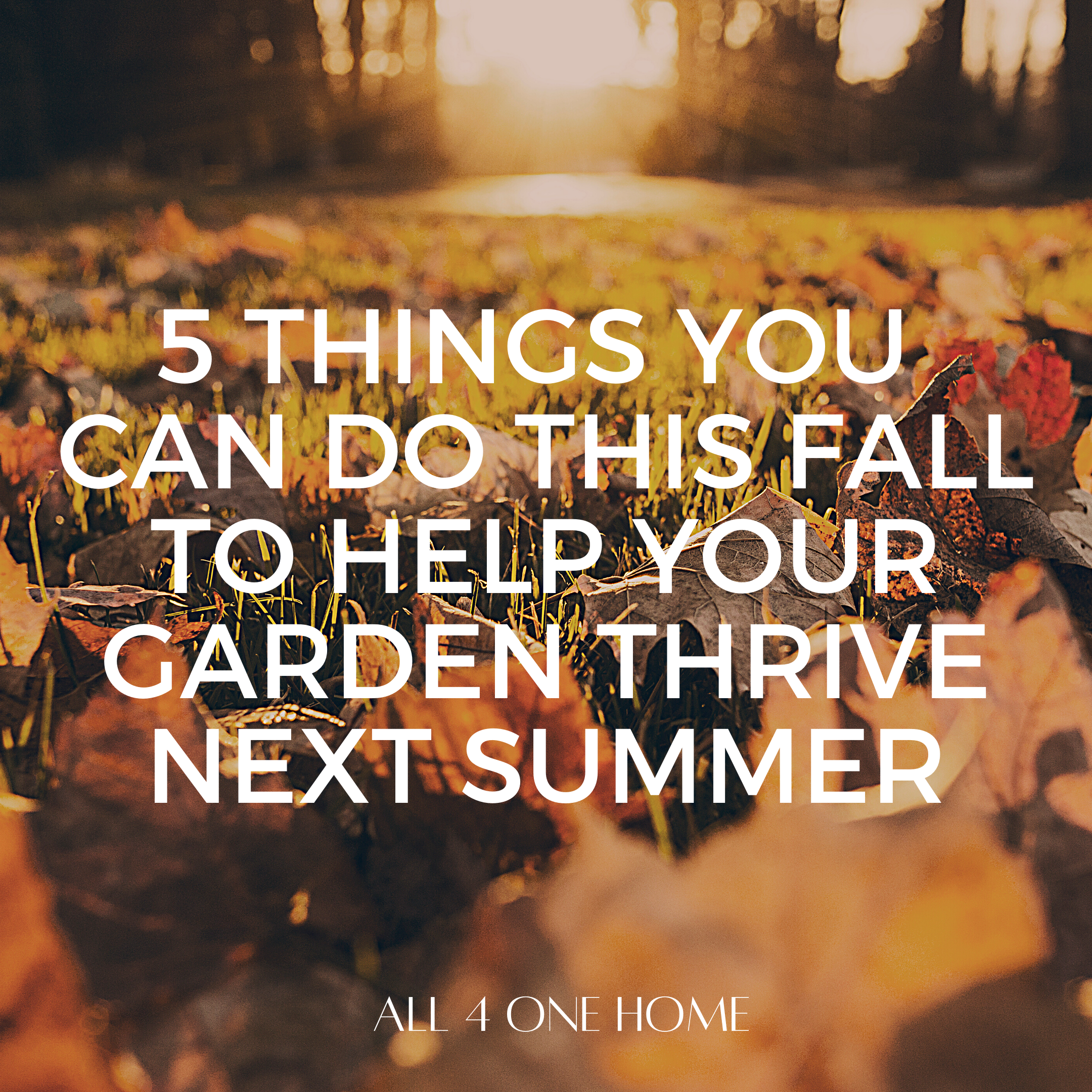 5 Garden Soil Tips
